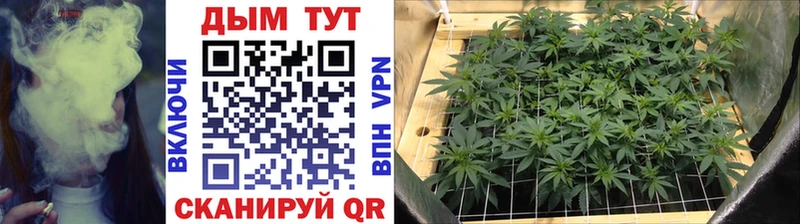 Где купить Стрежевой COCAIN Конопля Меф Гашиш
