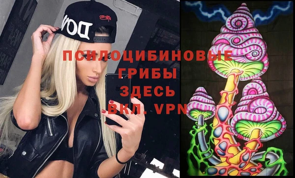 амф Арсеньев