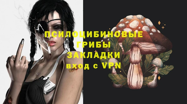 амф Арсеньев