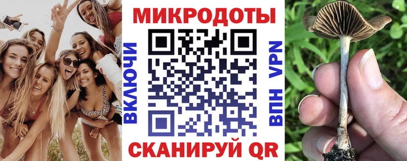 кракен зеркало  Стрежевой  Галлюциногенные грибы Cubensis 